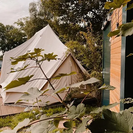 Glamping Erve Hasselo Vorden