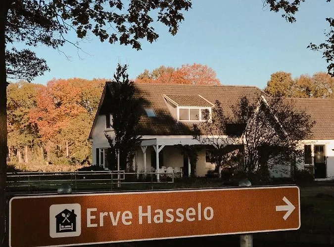 Glamping Erve Hasselo * 福尔登